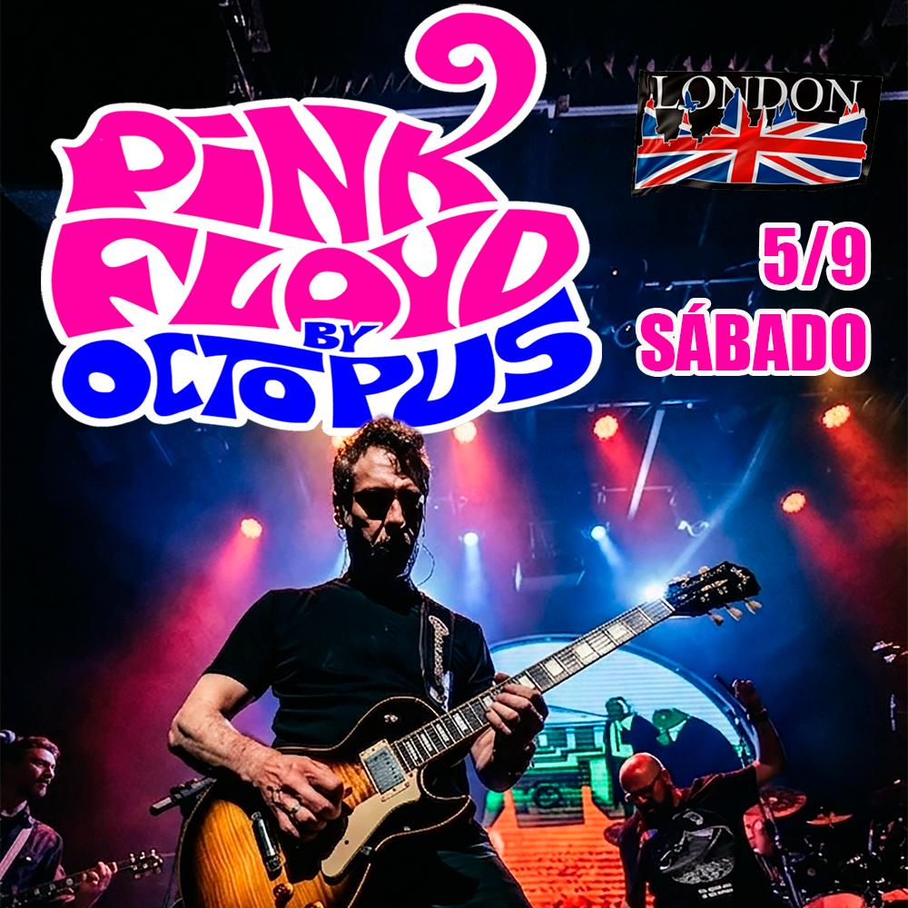Read more about the article Pink Floyd by Octopus – 05/09/2026